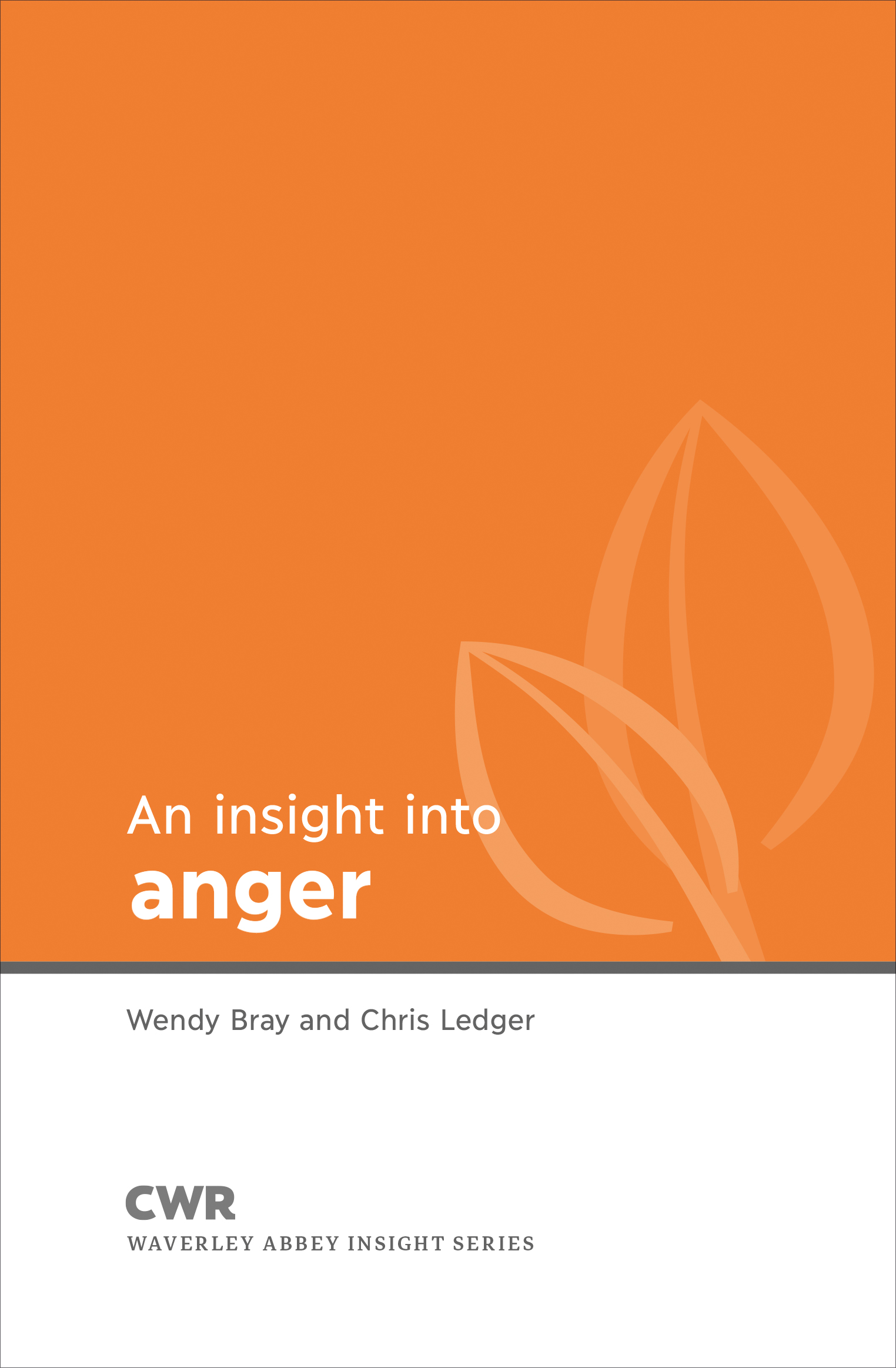 Insight into Anger By Wendy Bray Chris Ledger (Paperback)