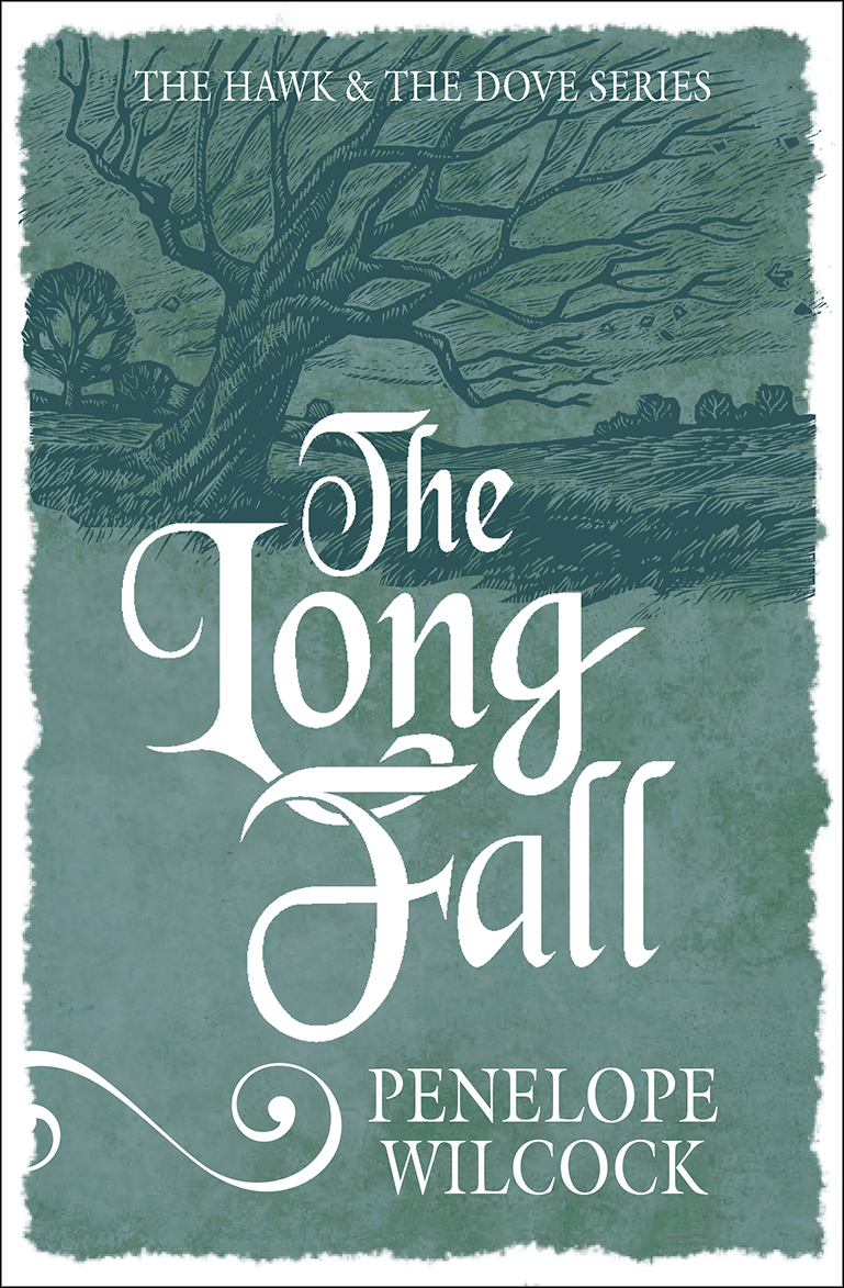 The Long Fall By Penelope Wilcock (Paperback) 9781782641438