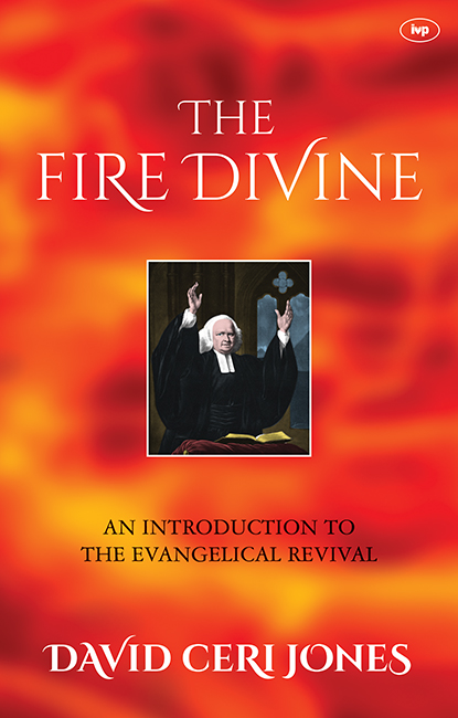 The Fire Divine By Jones David Ceri (Paperback) 9781783592906