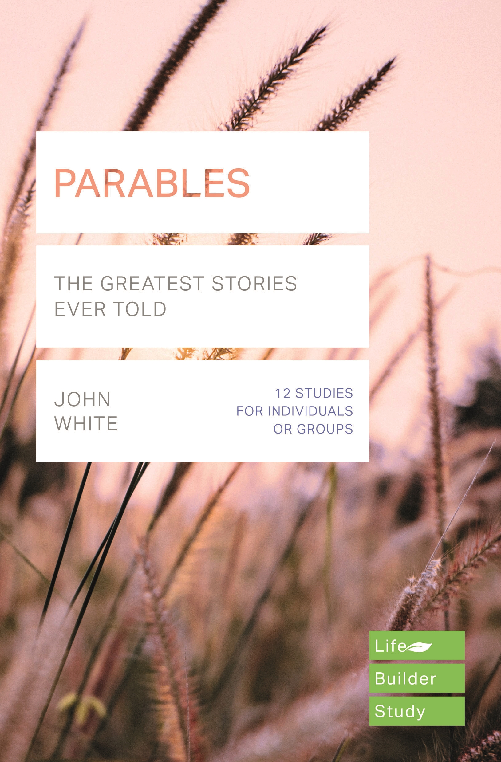 Lifebuilder Bible Study Parables By John White (Paperback)