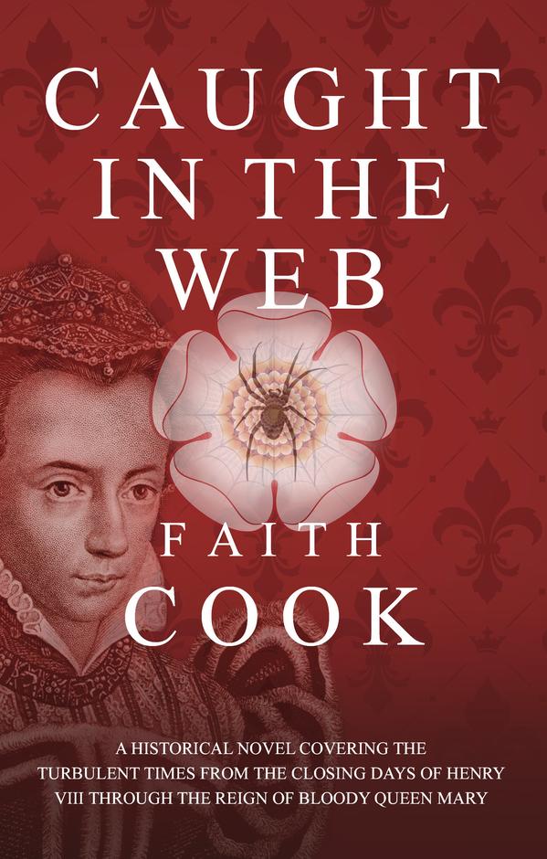 Caught in the Web By Faith Cook (Paperback) 9781783972159