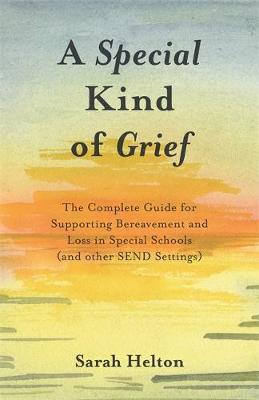 Special Kind Of Grief By Sarah Helton (Paperback) 9781785922732