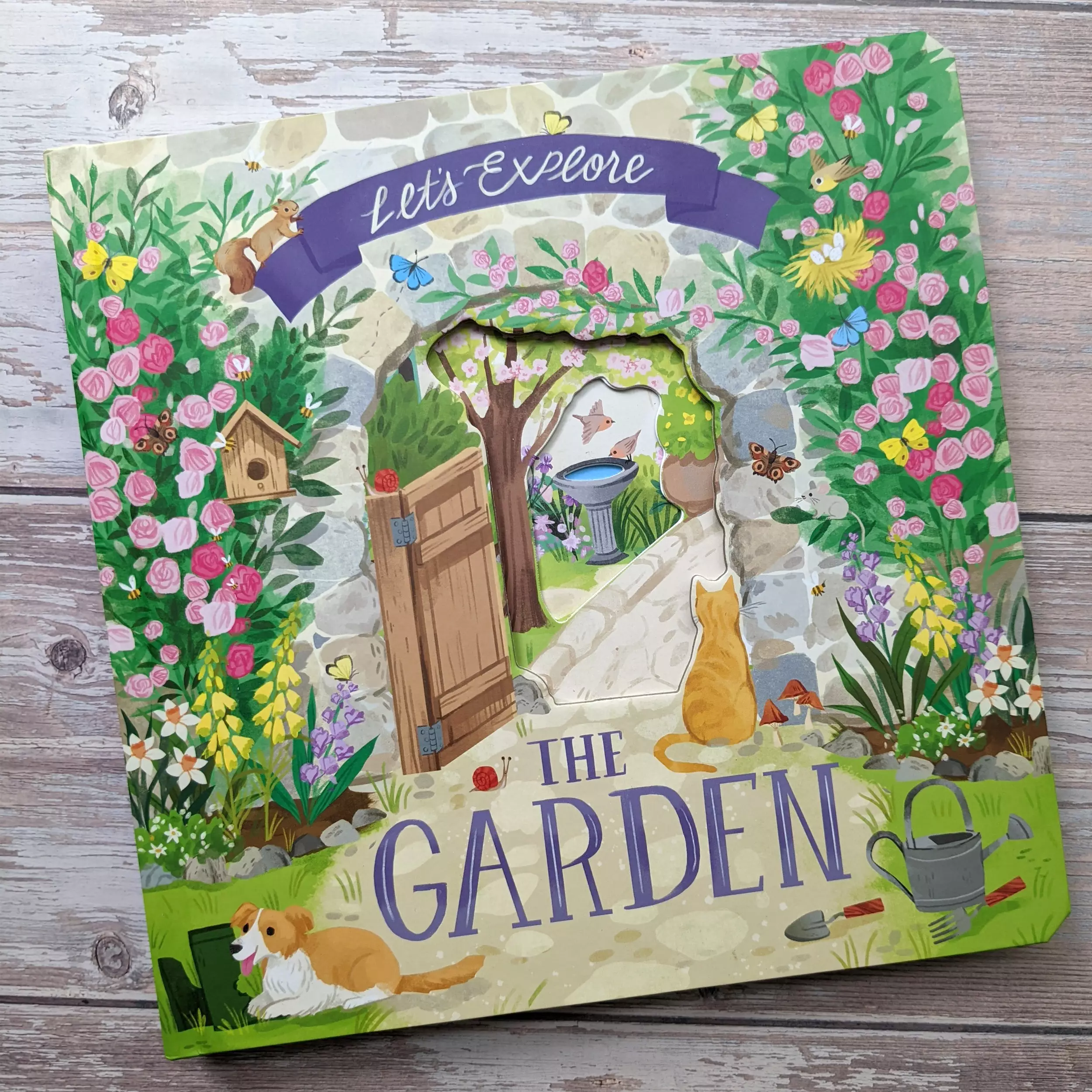 Let's Explore the Garden | Free Delivery at Eden.co.uk