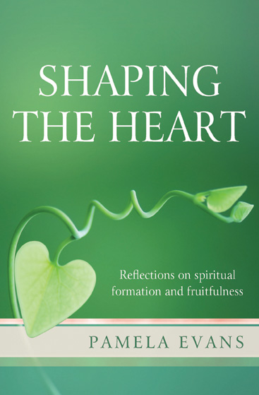 Shaping the Heart By Pamela Evans (Paperback) 9781841017266