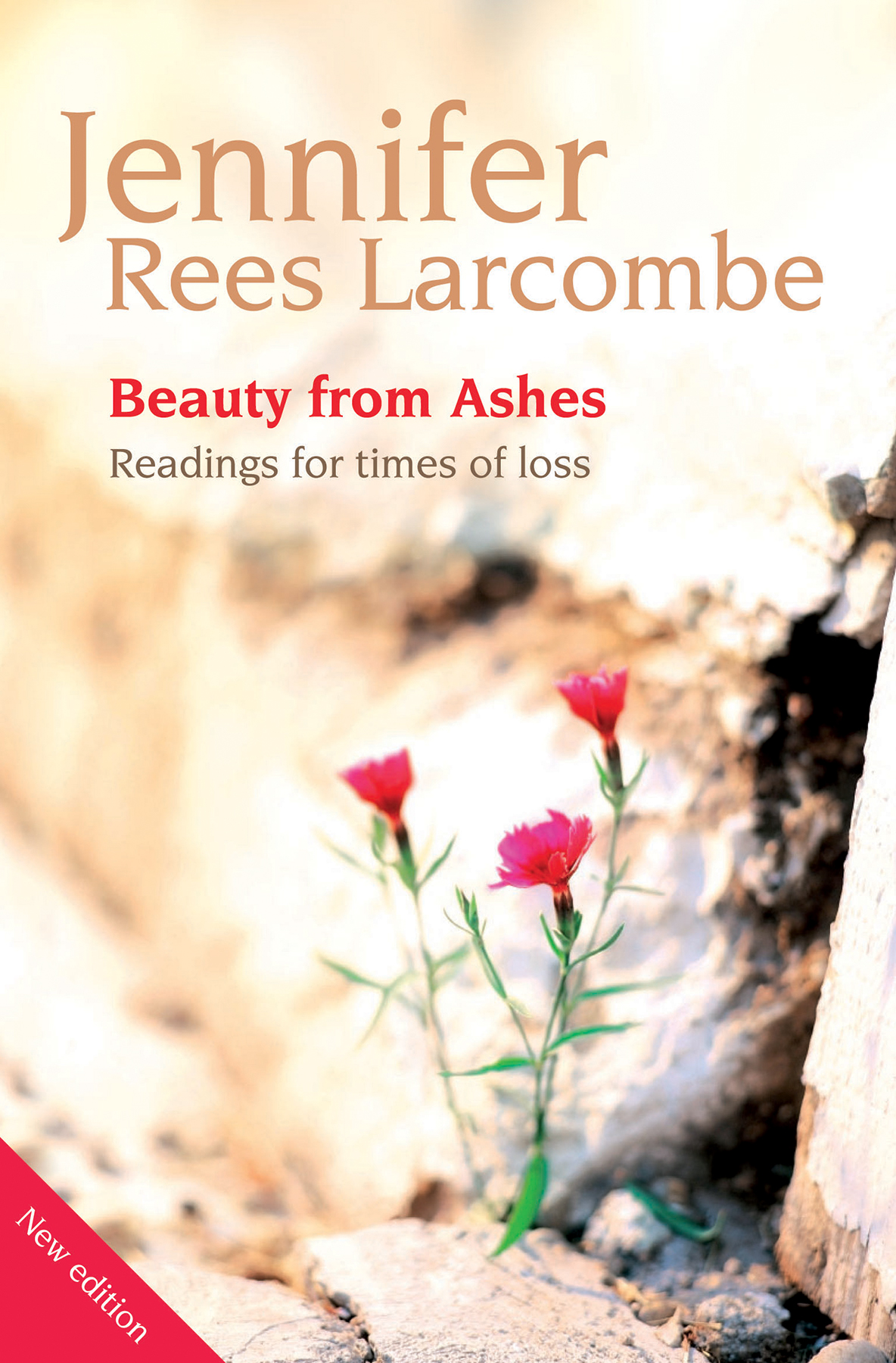 Beauty from Ashes By Jennifer Rees Larcombe (Paperback) 9781841017440