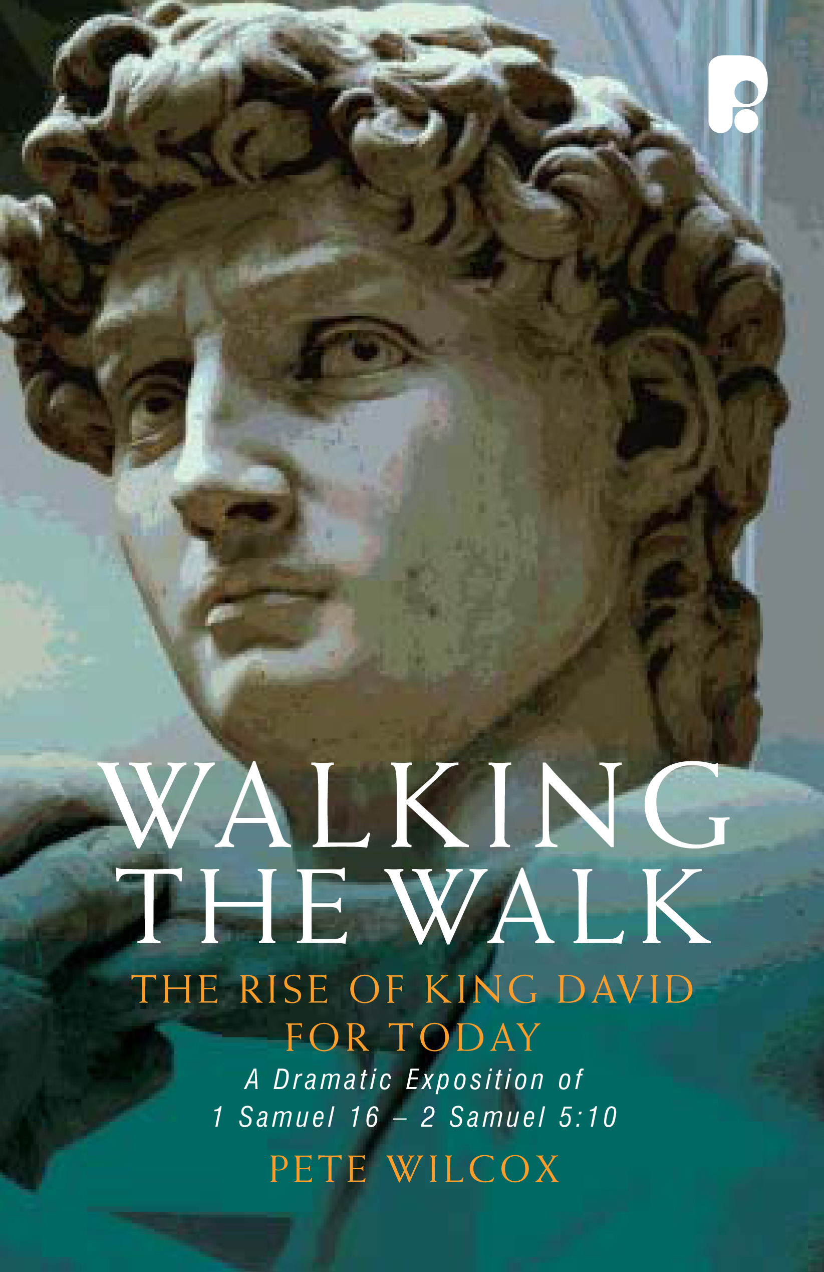 Walking The Walk By Pete Wilcox (Paperback) 9781842276488