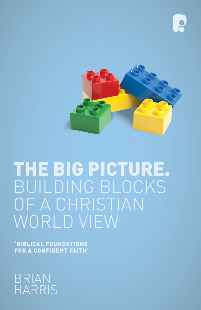 The Big Picture Building Blocks Of A Christian World View (Paperback)