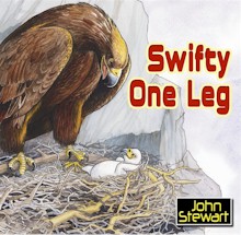 Swifty One Leg By Stewart John (Paperback) 9781844173501