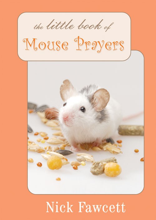 Little Book of Mouse Prayers By Nick Fawcett (Hardback) 9781844178643