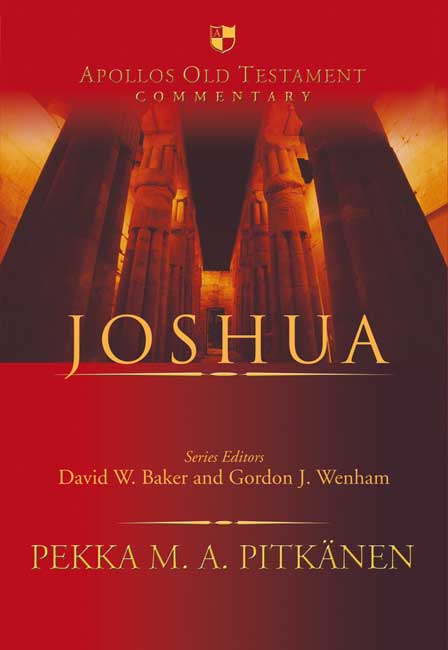 Joshua By Pekka Pitkanen (Hardback) 9781844744770