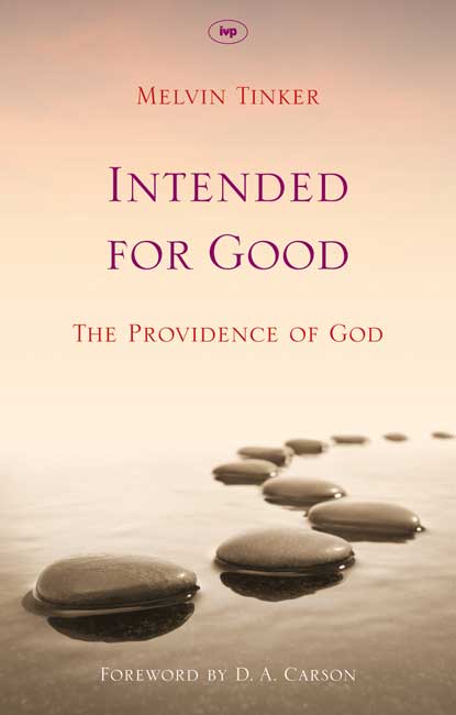 Intended for Good By Tinker Melvin (Paperback) 9781844745708