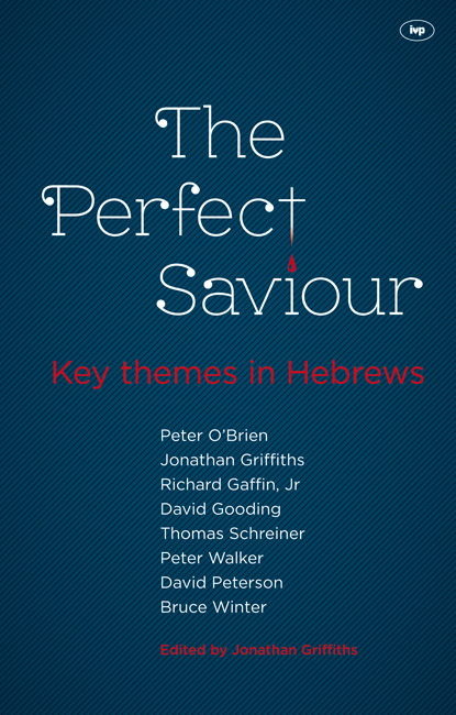 The Perfect Saviour By Griffiths Jonathan (Paperback) 9781844745838