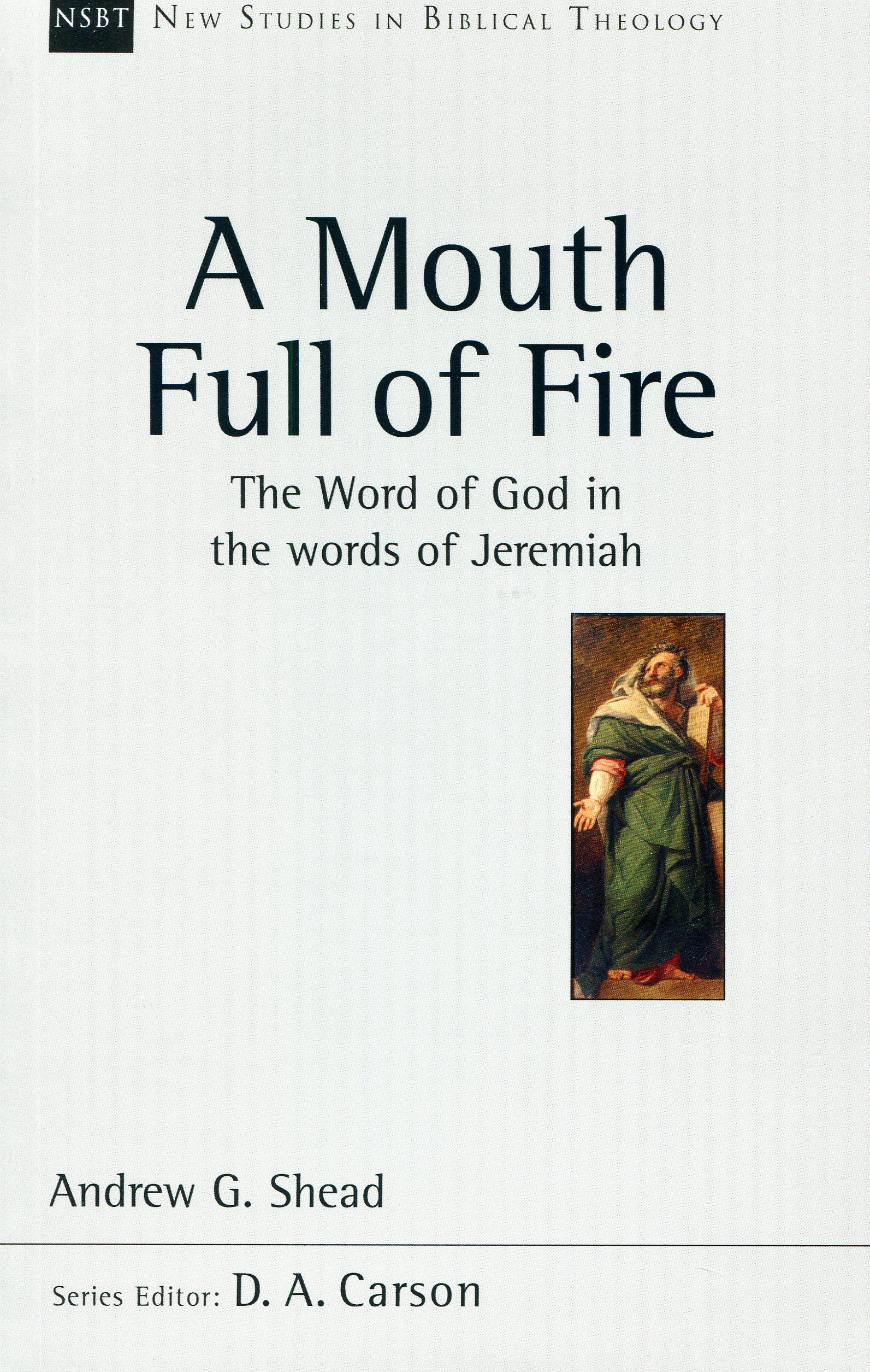 A Mouth full of fire NSBT By Andrew Shead (Paperback) 9781844745968