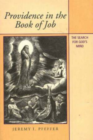 Providence in the Book of Job By Jeremy I Pfeffer (Hardback)