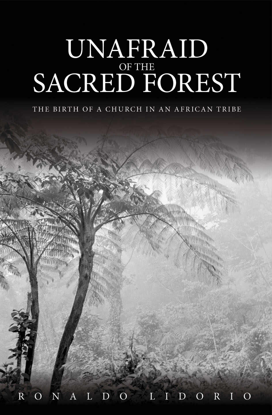 Unafraid Of The Sacred Forest By Ronaldo Lidorio (Paperback)