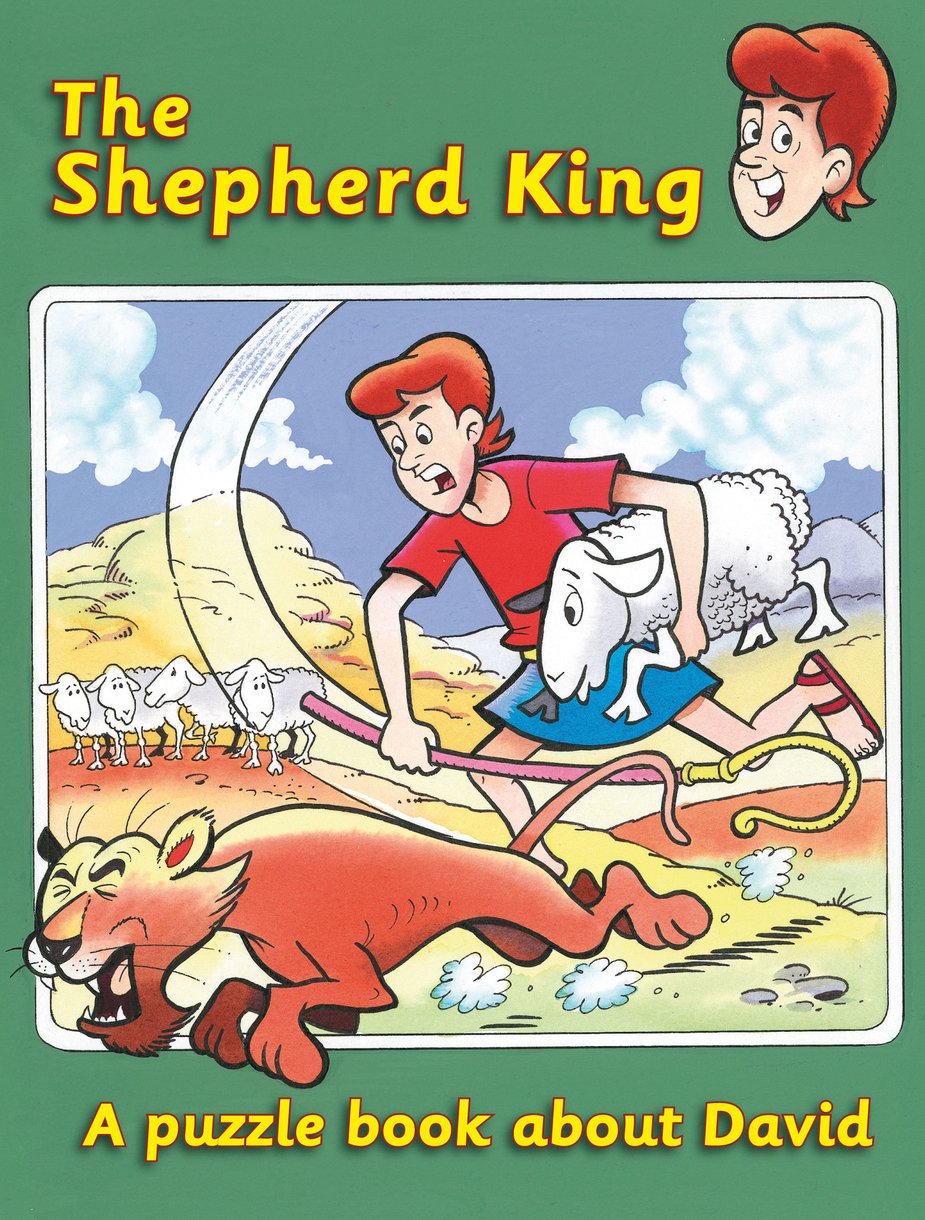 Shepherd King David Puzzles By Ruth Maclean (Paperback) 9781845504984