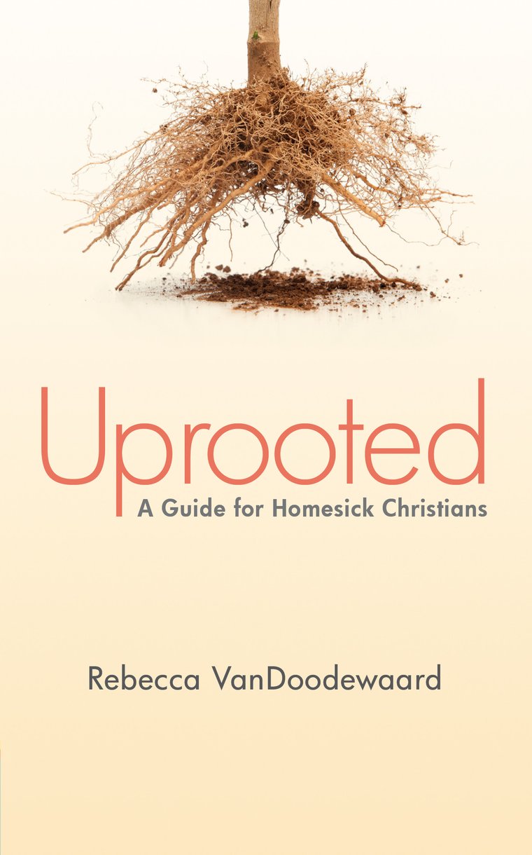 Uprooted By Rebecca Vandoodewaard (Paperback) 9781845509644