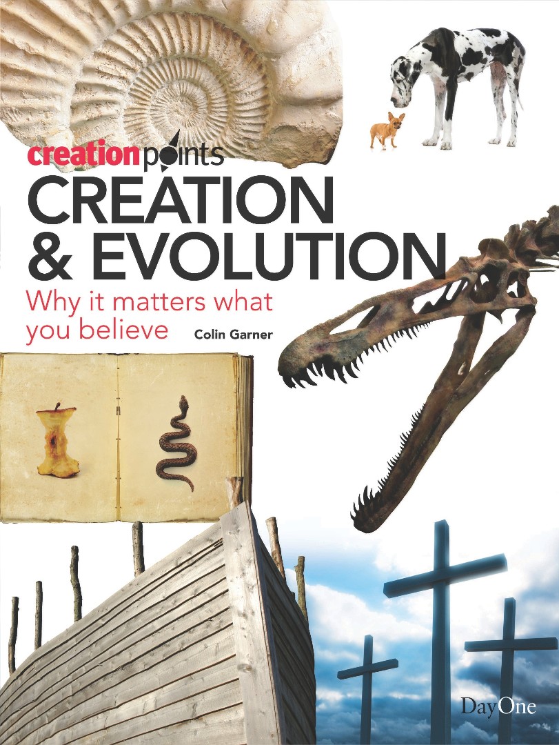 Creation & Evolution By Colin Garner (Paperback) 9781846250996