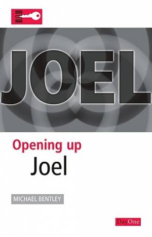 Opening Up Joel By Michael Bentley (Paperback) 9781846251917