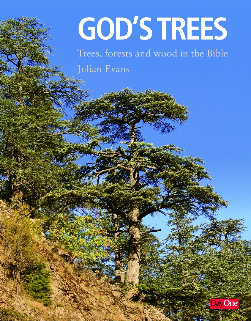 Gods Trees By Julian Evans (Other) 9781846254109