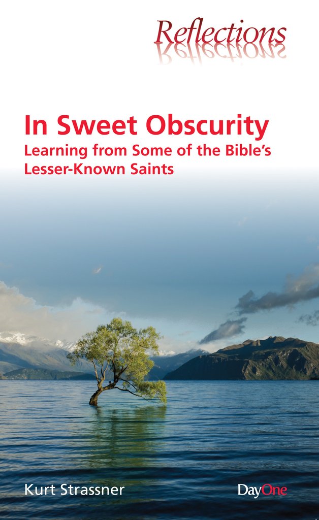 In Sweet Obscurity By Strassner Kurt (Paperback) 9781846255403