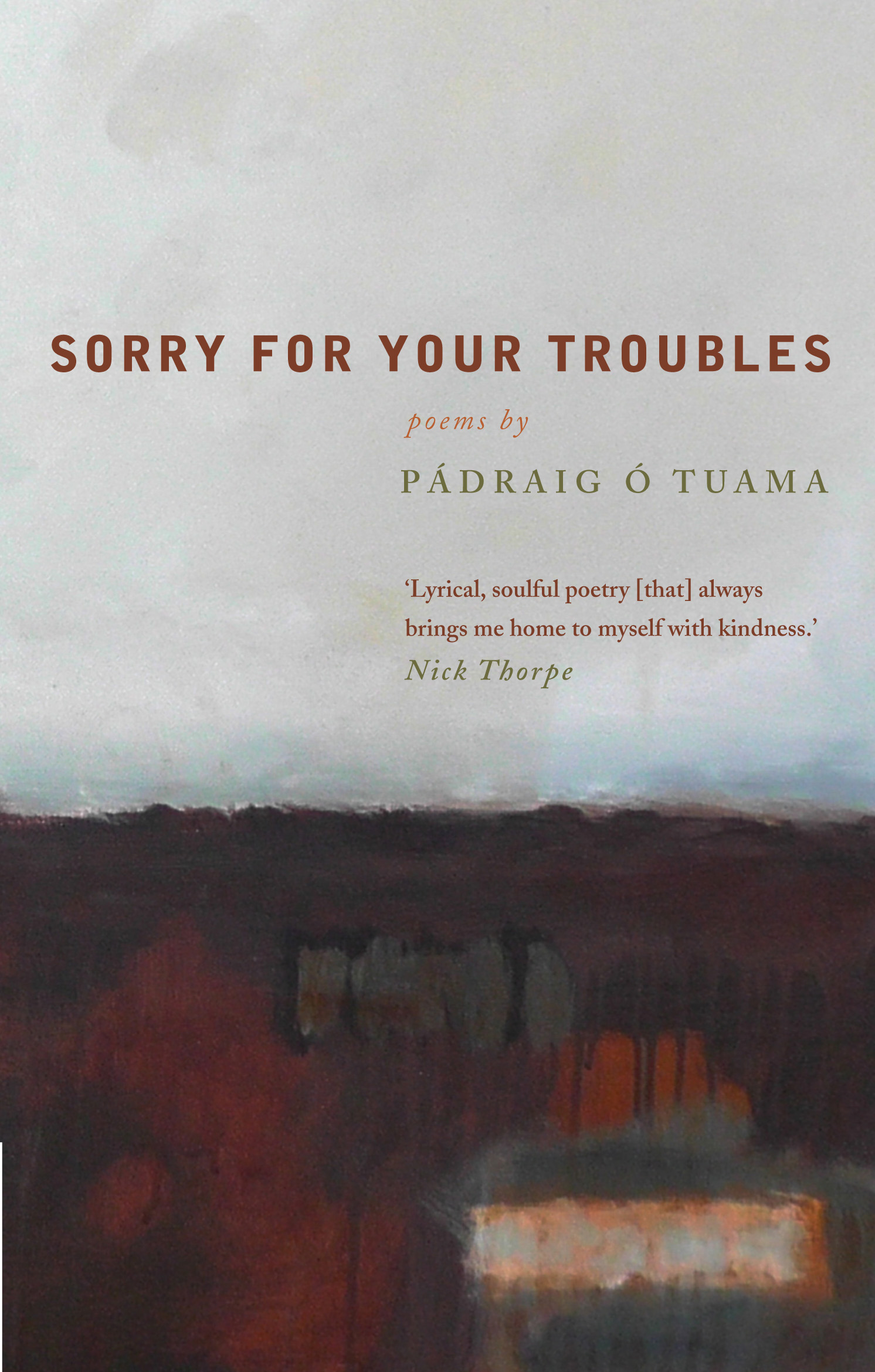 Sorry For Your Troubles By Padraig O Tuama (Paperback) 9781848254626