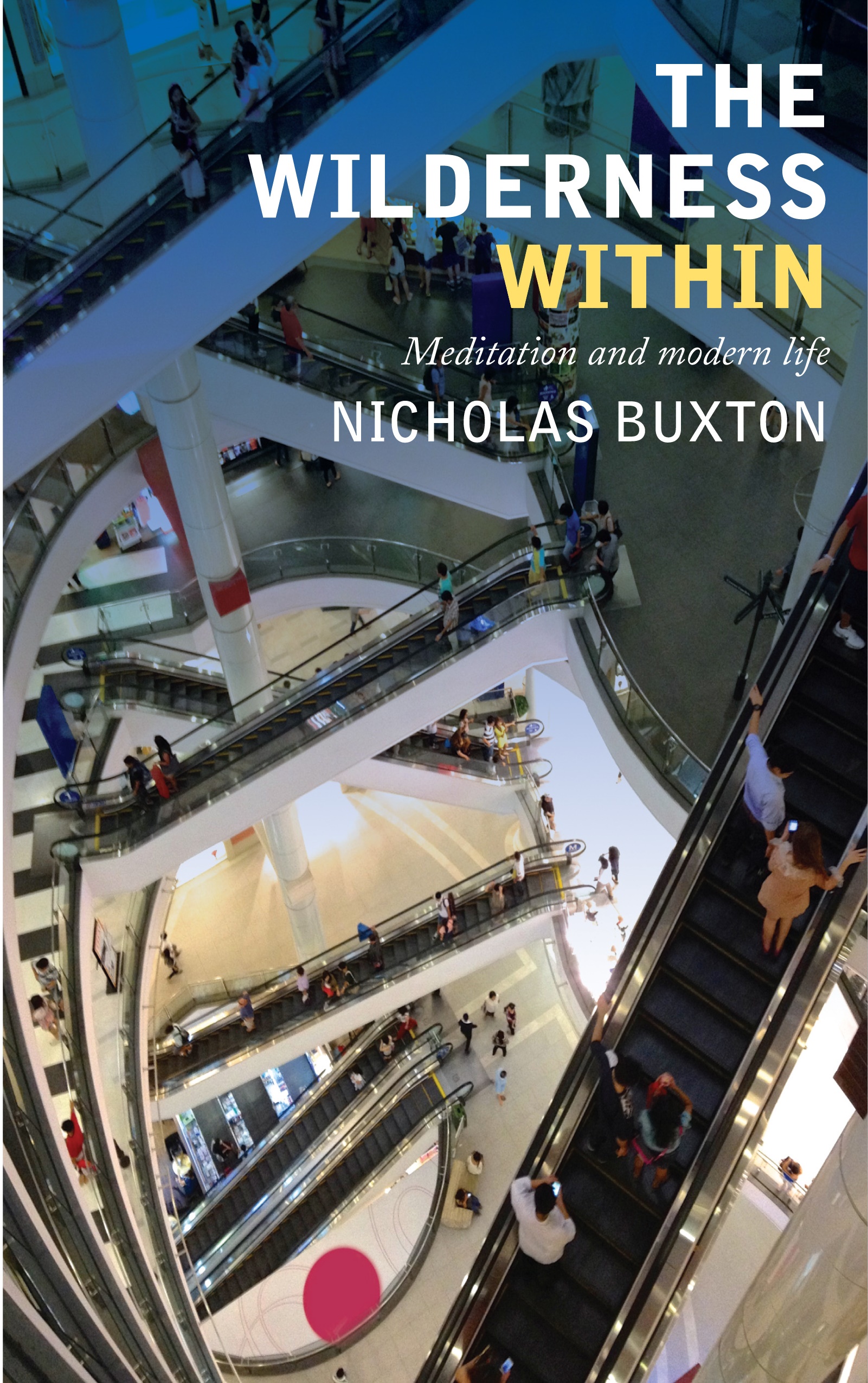 The Wilderness within By Nicholas Buxton (Paperback) 9781848256576