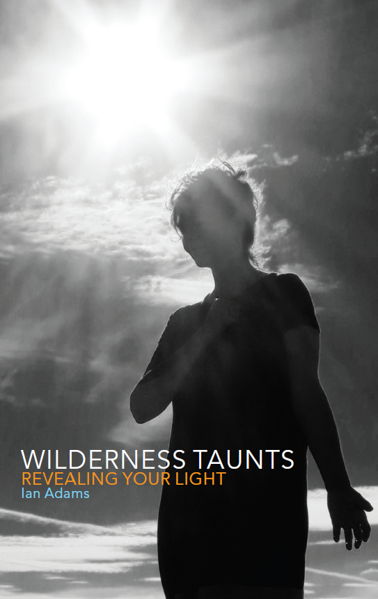 Wilderness Taunts By Ian Adams (Paperback) 9781848259171