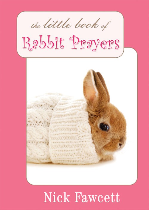 Little Book Of Rabbit Prayers By Nick Fawcett (Hardback) 9781848670136