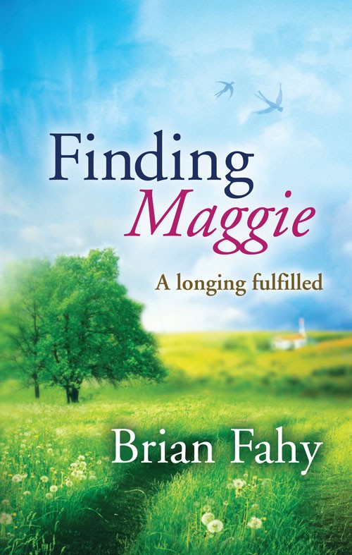 Finding Maggie By Fahy Brian (Paperback) 9781848675506