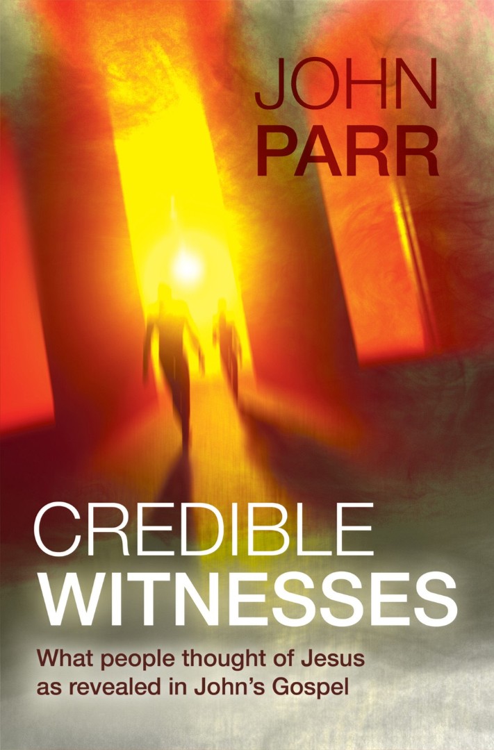 Credible Witnesses By John Parr (Paperback) 9781848678750