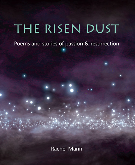 The The Risen Dust By Rachel Mann (Paperback) 9781849522793