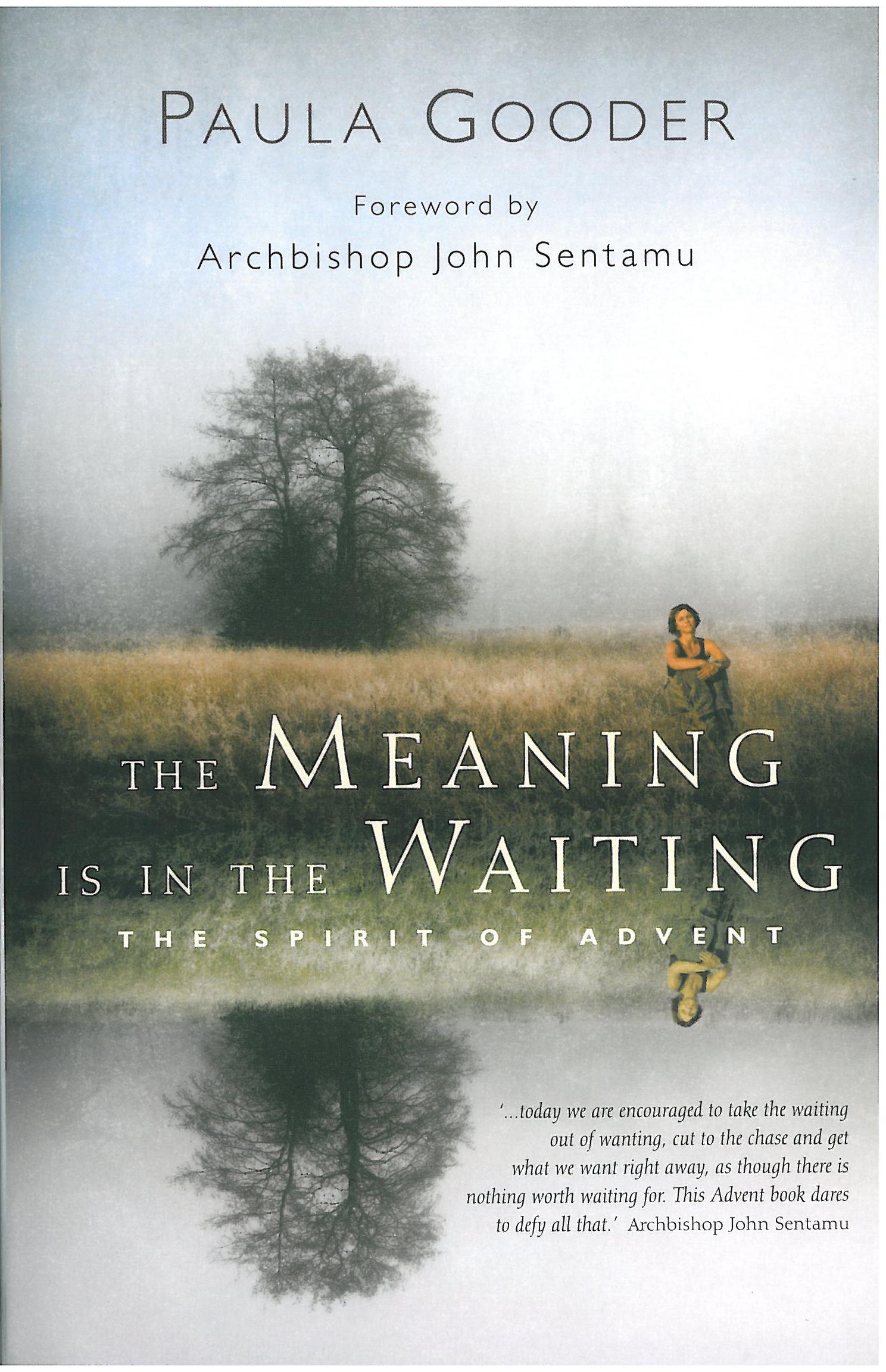 The Meaning Is In The Waiting By Dr Paula Gooder (Paperback)