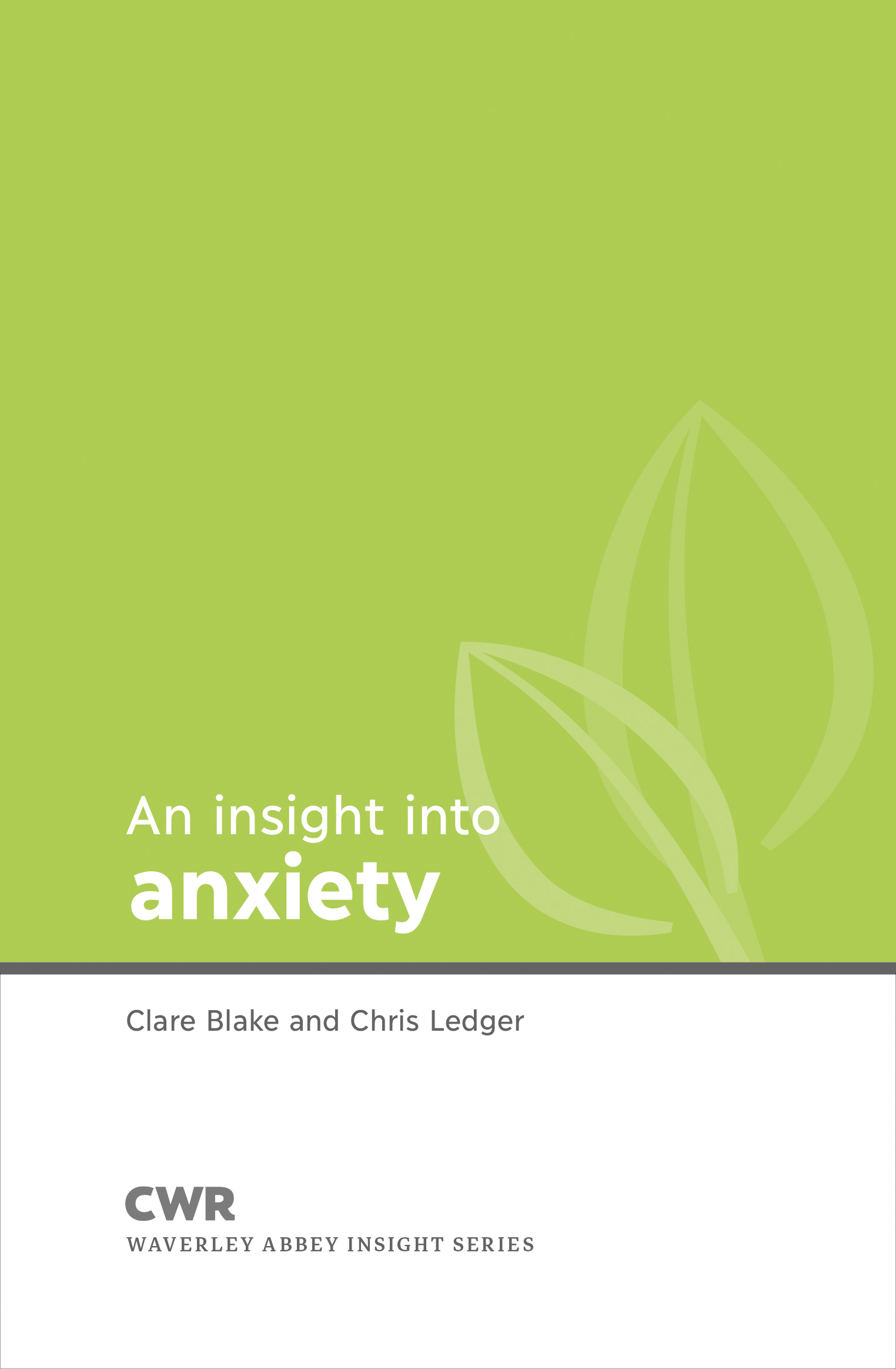 Insight Into Anxiety By Chris Ledger Clare Blake (Paperback)