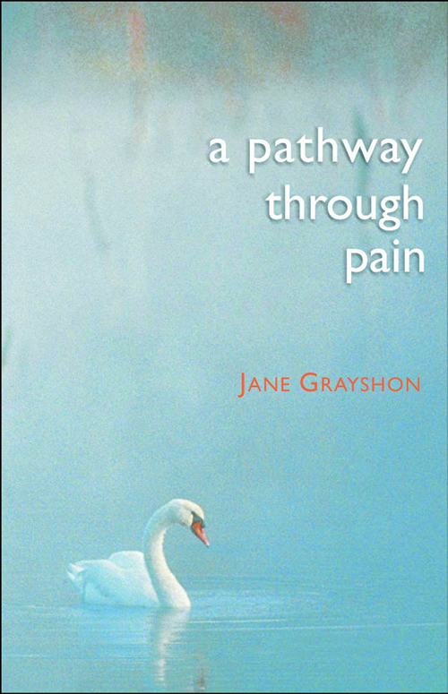 Pathway Through Pain By Jane Grayshon (Paperback) 9781854245816