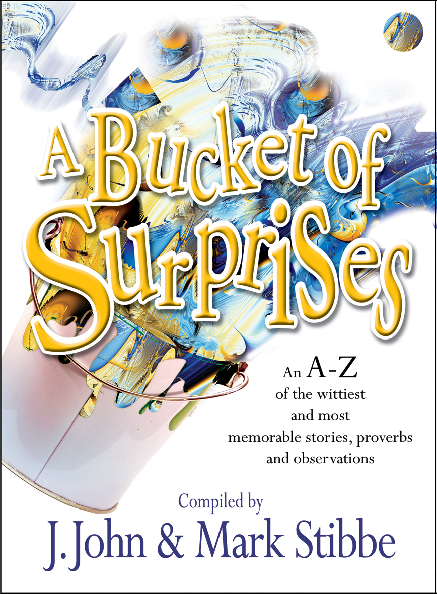 Bucket of Surprises By J John Mark Stibbe (Paperback) 9781854245885