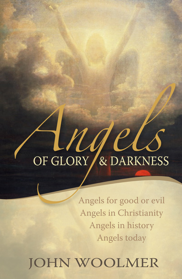 Angels of Glory and Darkness By John Woolmer (Paperback) 9781854247360