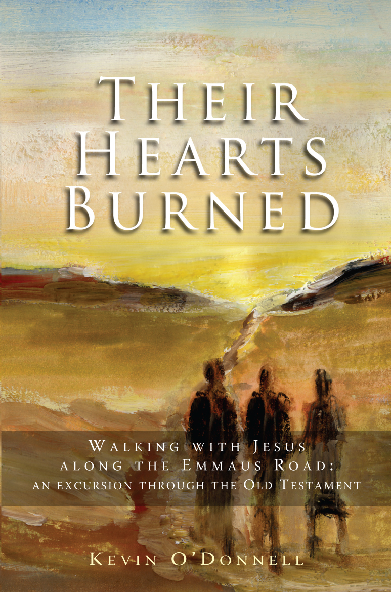 Their Hearts Burned By Kevin O'Donnell (Paperback) 9781854247582