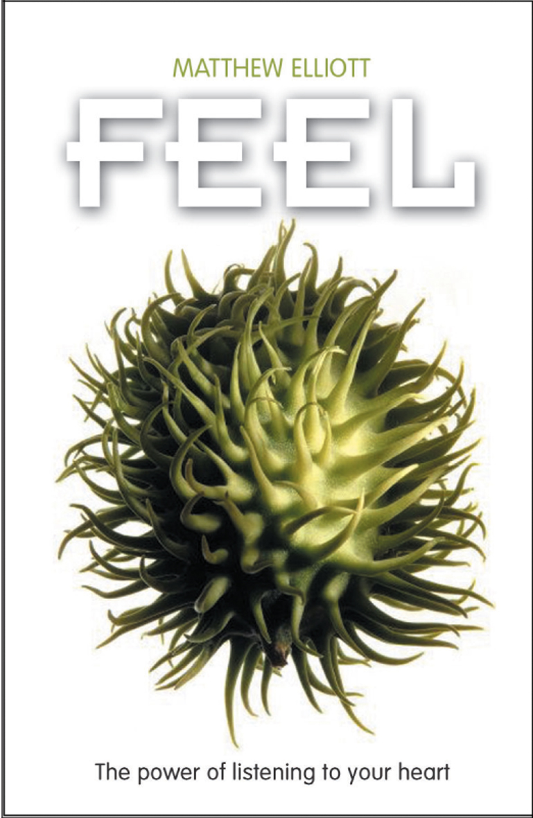 Feel By Matthew Elliott (Paperback) 9781854248916