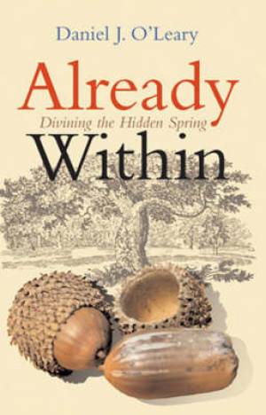 Already within By Donal O'leary (Paperback) 9781856075756