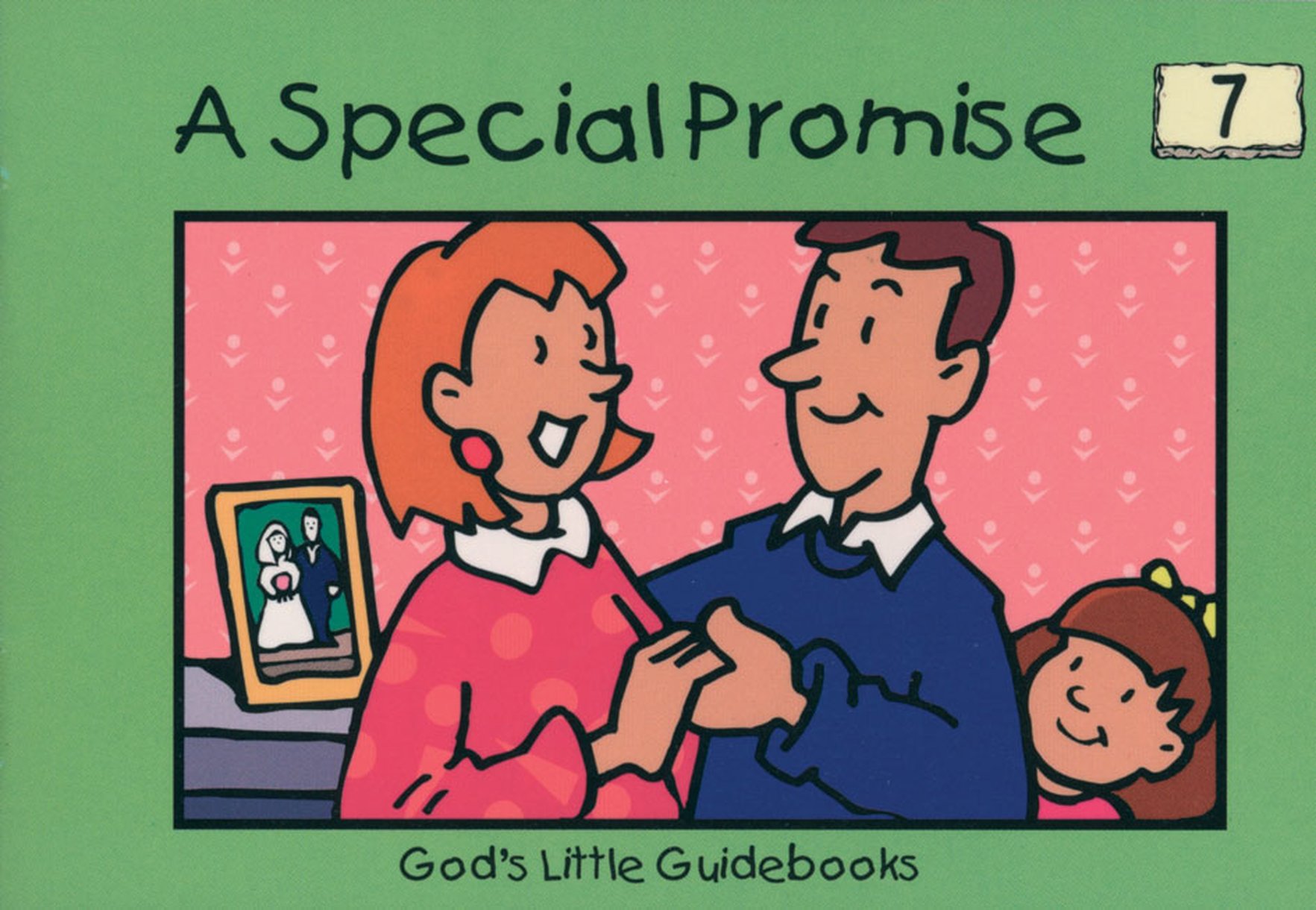 A Special Promise By Hazel Scrimshire (Paperback) 9781857923575