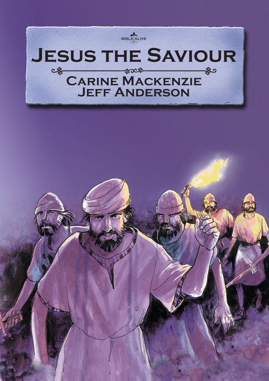 Jesus the Saviour By Carine Mackenzie (Paperback) 9781857927542