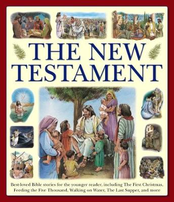 The New Testament By Armadillo Books (Paperback) 9781861478474