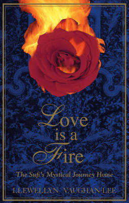 Love is a Fire