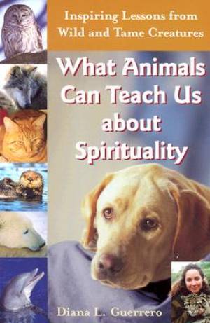 What Animals Can Teach Us About Spirituality By Diana L Guerrero