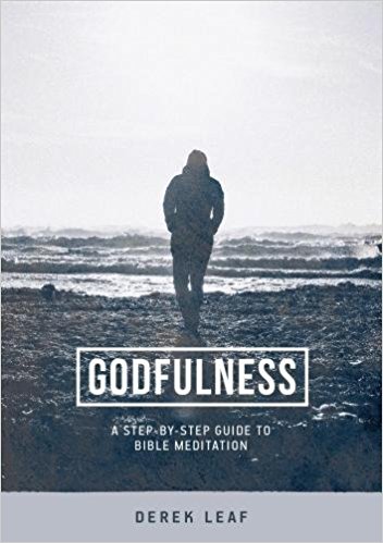 Godfulness By Derek Leaf (Paperback) 9781900964272