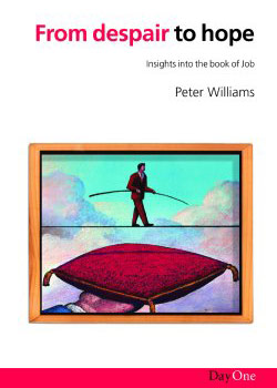 Job By Peter Williams (Paperback) 9781903087299