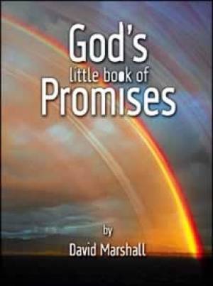 God's Little Book of Promises By David Marshall (Paperback)