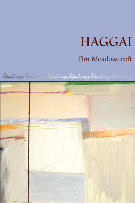 Haggai By Tim Meadowcroft (Hardback) 9781905048595