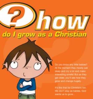 How Do I Grow As A Christian Booklet - Pack of 25 By Mitchell Alison